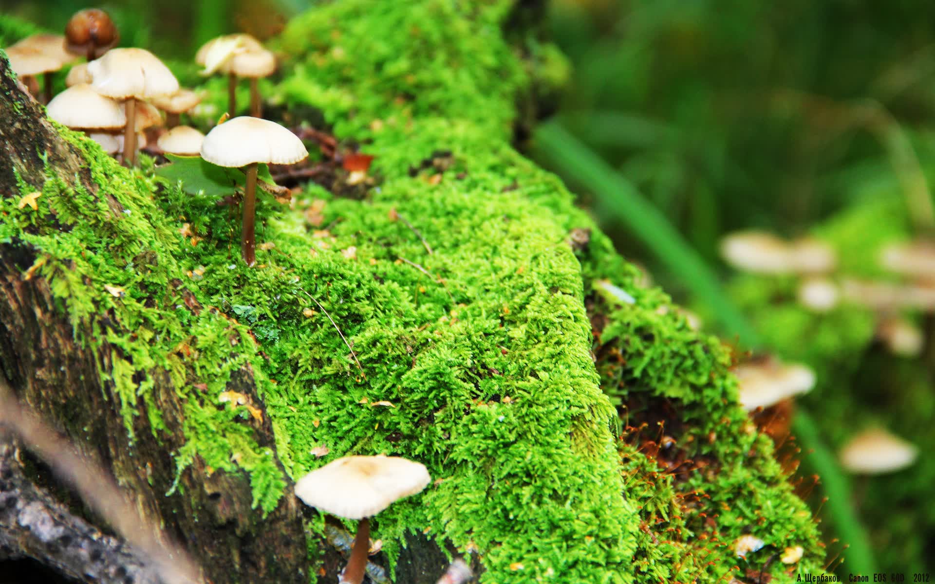 世界体能恢复示范案例征集：优秀方案推广全国，世界体能大赛